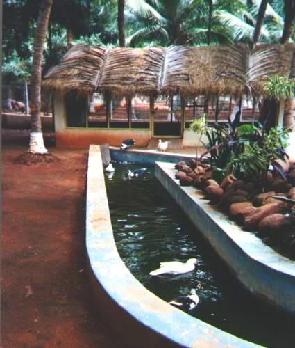 Duck Pen