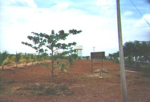 Farm field and water tower
