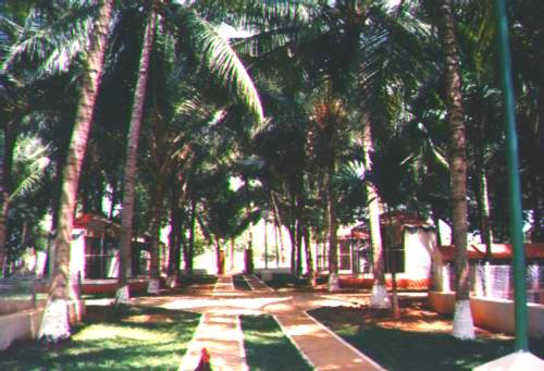 Pathway through Animal Houses
